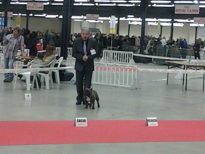 Du Clos De La Fruitiere - PARIS DOG SHOW