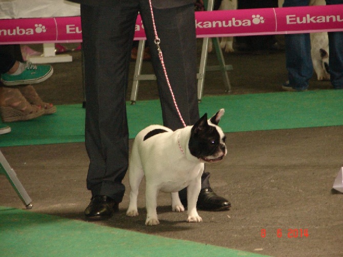 Du Clos De La Fruitiere - CHAMPIONNAT DE FRANCE ANGERS 2014